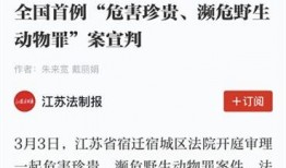 诏安媒体爆料案件最新情况,案件进展揭秘，疑云重重待解