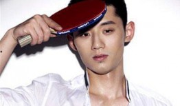 金晨张继科最新爆料,揭秘恋情背后的真相与抉择